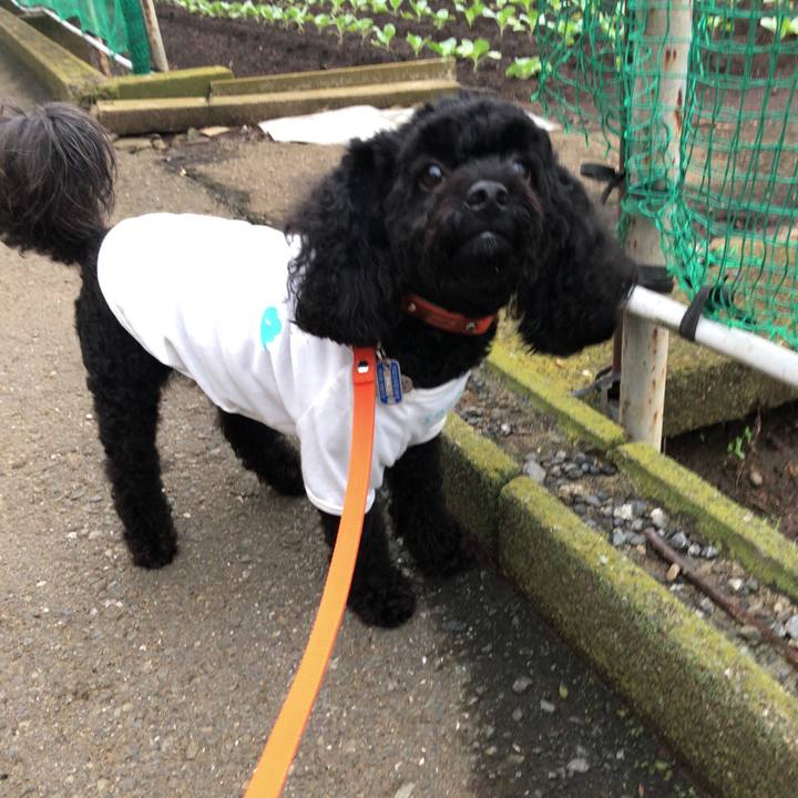 3b03843a ea7e 4fef a171 05b32dbf4284 1535926356132