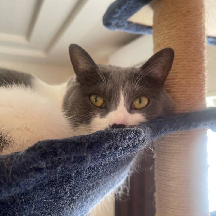 3b03b4c5 67d6 4aec 8036 8ce98a1bd2ba 1704590629220