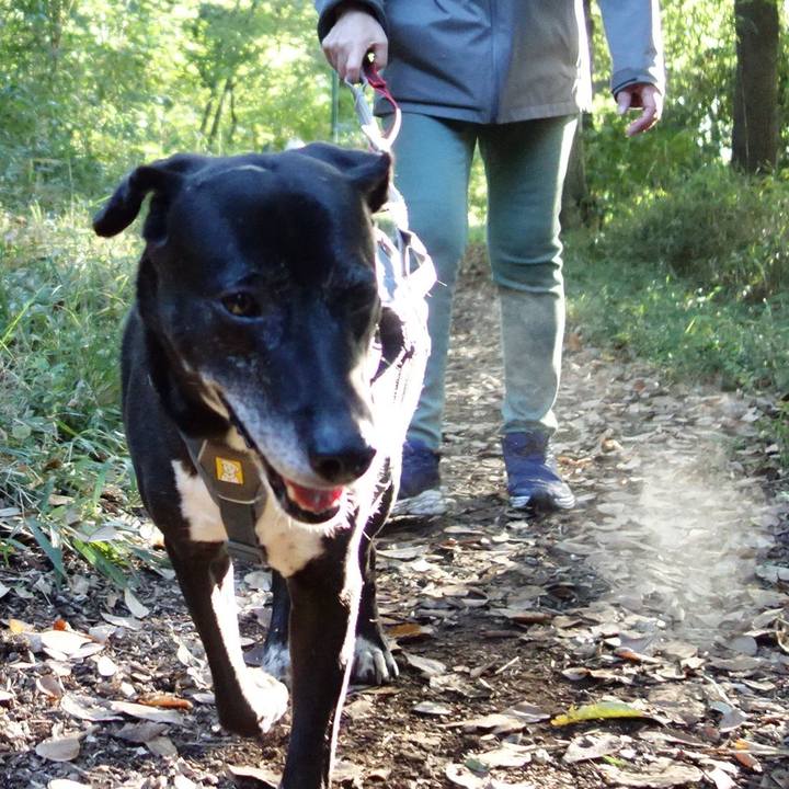 3b03bca7 9467 46a9 a71a fc743eee590f 1731115230740