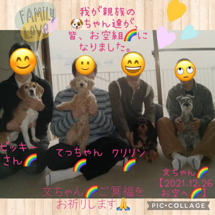 3b03d6e4 421a 4708 afe0 de11ec762417 1640690418445