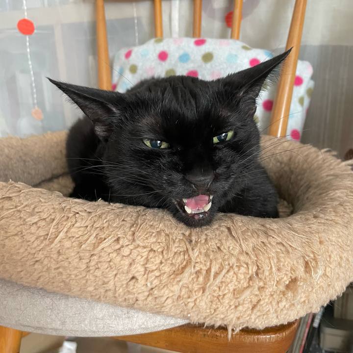 3b03efec abd8 4403 bd7c fd1d9afaf0eb 1749954488305