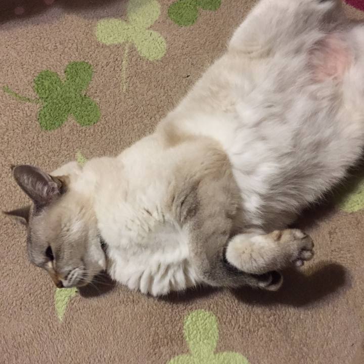 3b0406d3 62a4 40b0 b773 2a9bf73be39c 1540031929752