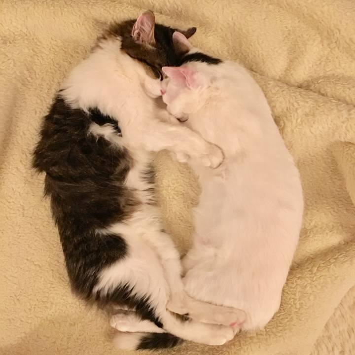 3b0449ab 682d 426f ac6e f8dbaf29f6c6 1669420296776