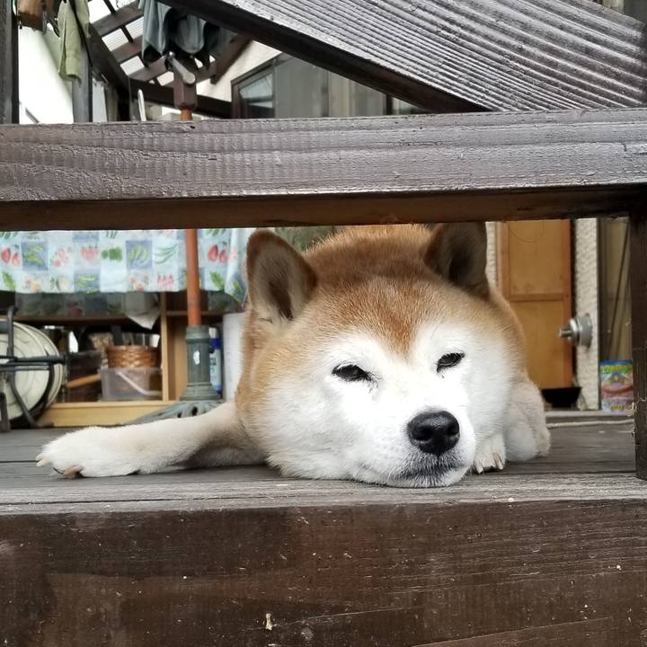 3b044de4 1330 4a55 ba95 6bc060e206b7 1696466384996