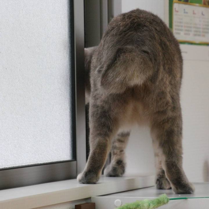 3b044e46 86ba 4de1 9a46 d0890ded34c2 1553478212470