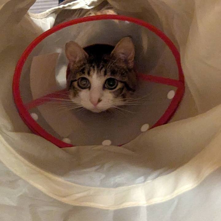 3b045cc1 320c 463c a969 28a075085cd3 1748241524755