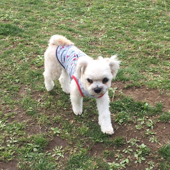 3b0467a6 845d 462a 8c2d c45a9761f891 1521358114028