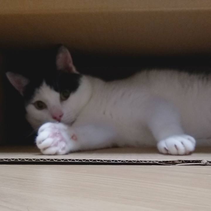 3b0477cf 9a26 4dd0 bcd7 1045055a1bc8 1563881344015