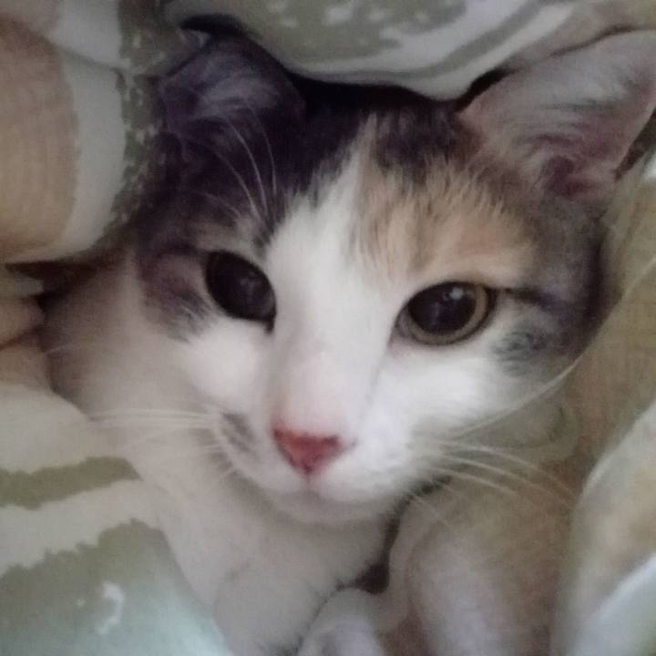 3b04b638 fb78 4f21 9ac1 07dd2f484c15 1548928183390