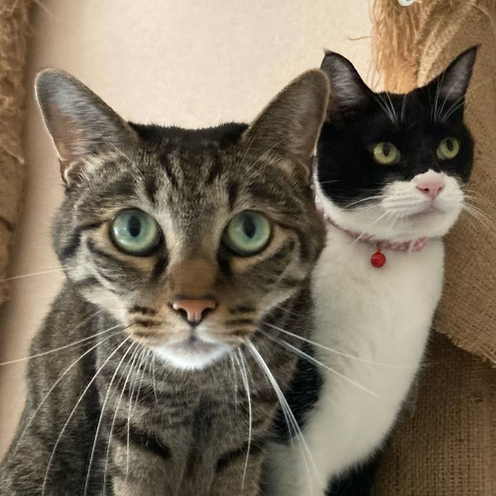 3b04c480 20d0 45a7 bd27 45fe672dbad5 1661167114679