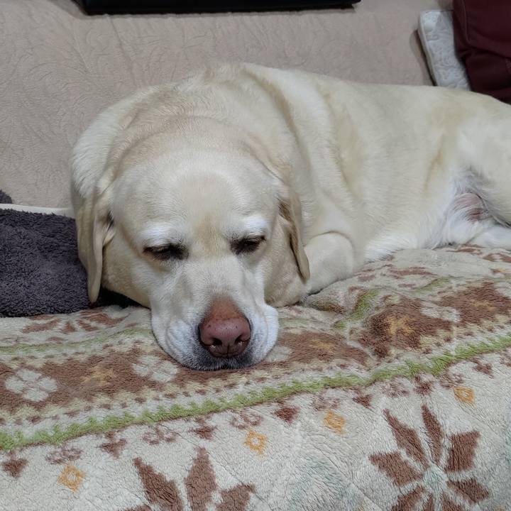 3b051473 636a 4033 a13b 9756eb55419a 1709999781948