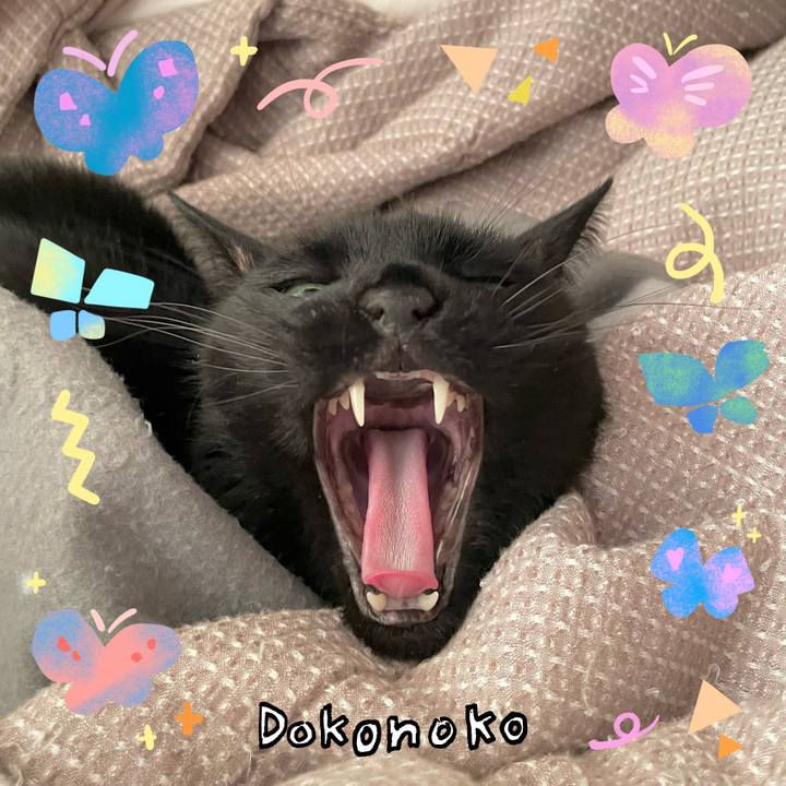 3b0518cf f36f 4ef6 b586 5152e8a71b6d 1711242781231