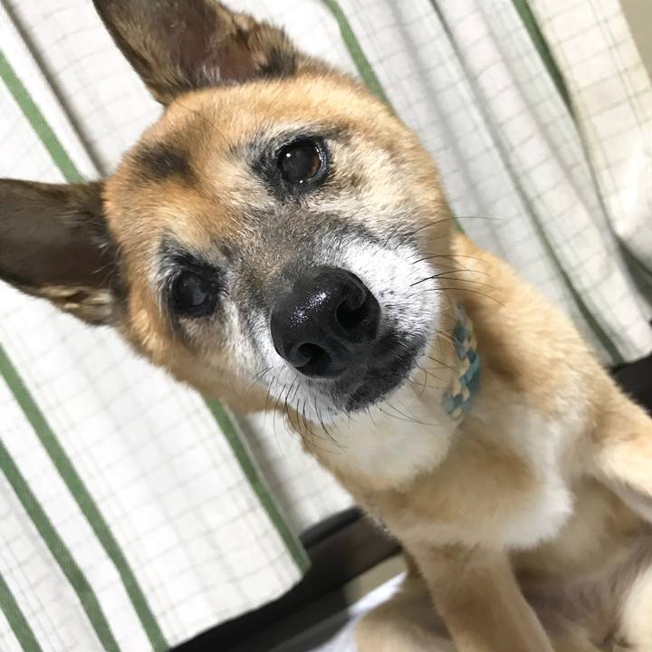 3b052972 cb6c 49bf 83a3 fd58f7dbeefb 1540902298740