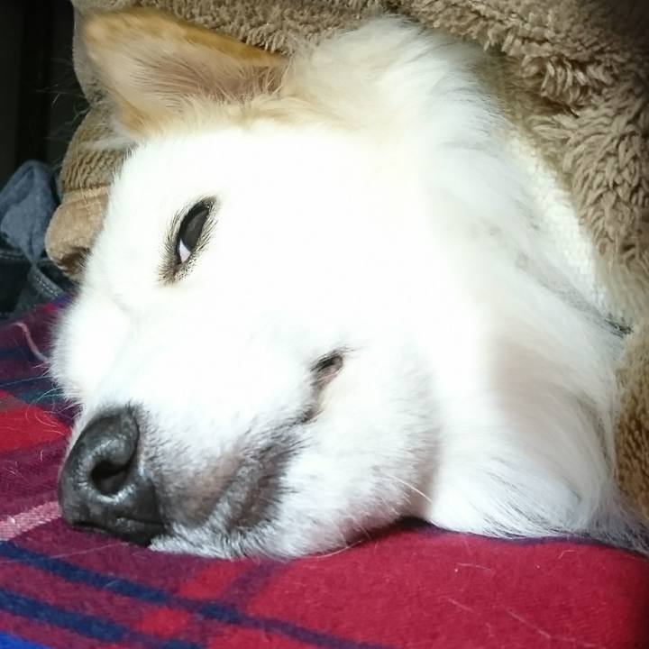 3b054429 1098 4e56 acf6 1cdb0888c82e 1516051682362