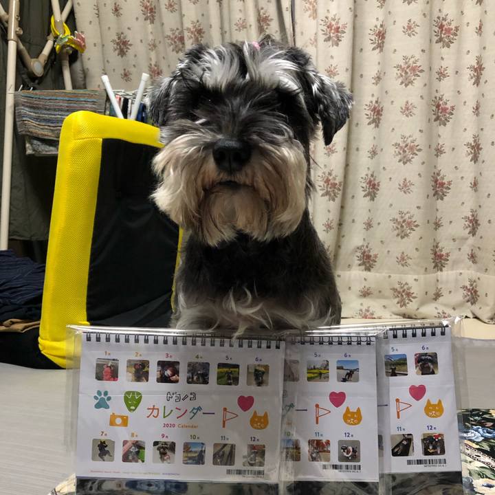 3b05a6f3 8587 47f0 980f e4dd39074f3a 1576918952573