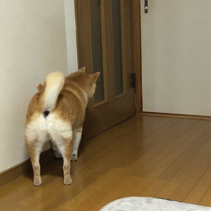 3b05b64f 5e12 4c24 bf0b c5b31224d46b 1587715206635