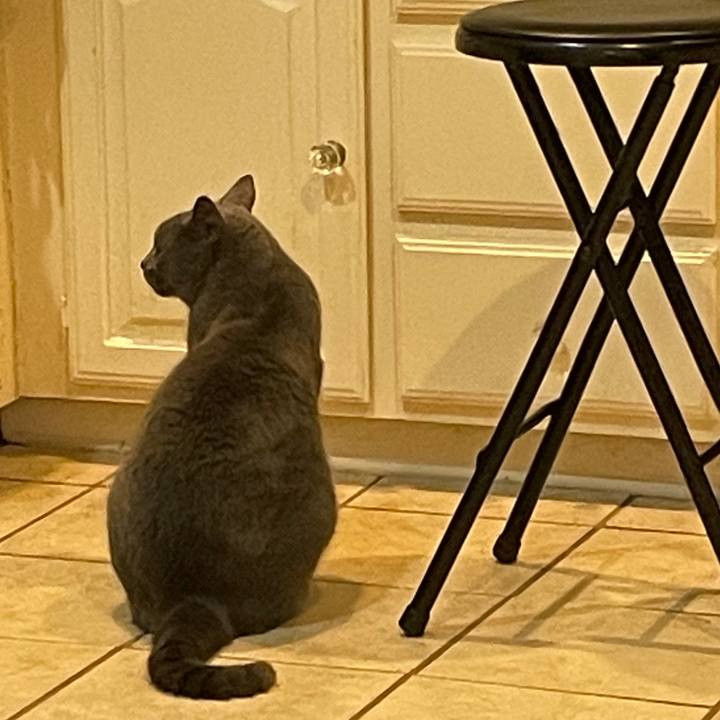 3b05bfd1 b2fd 4b3e 88bd dbe642f9a9dc 1694663363227