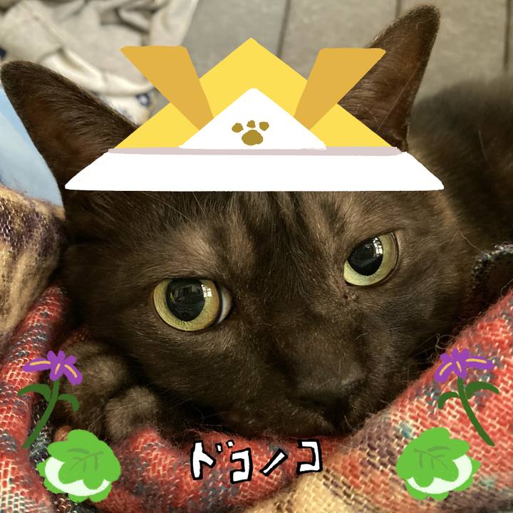 3b05deb2 b3df 44a7 972b 9f29dac5110b 1714890331838