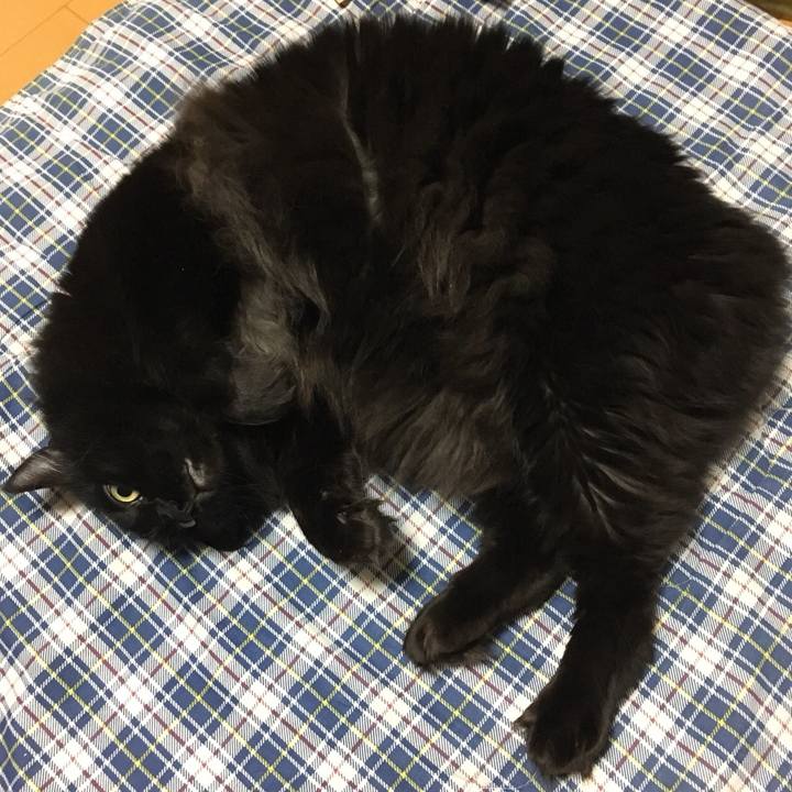 3b05e191 e5ed 43ab aad0 0bf399c63e89 1514504697608