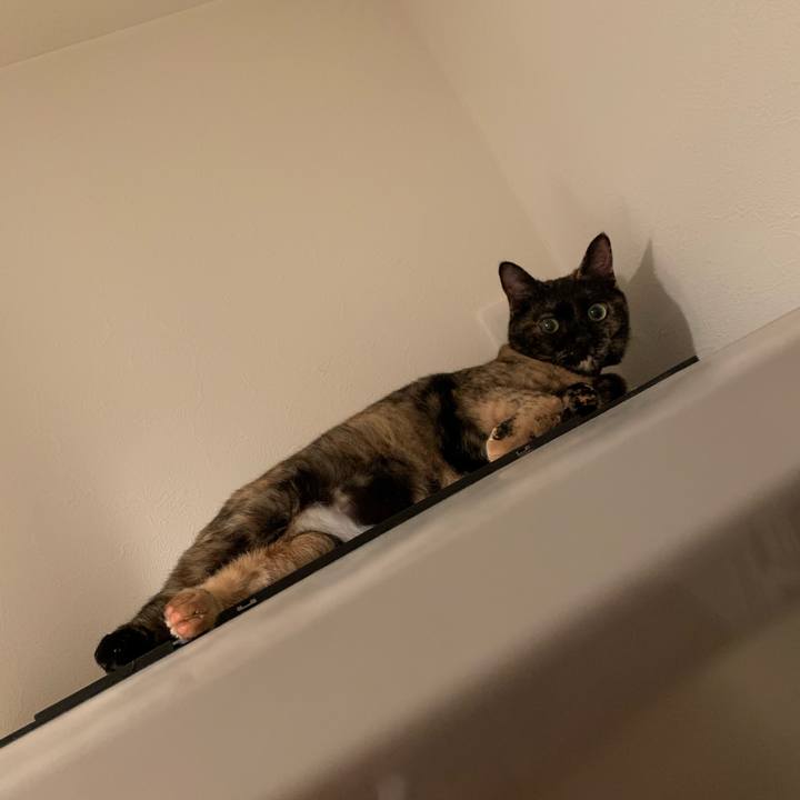 3b05e19f 9220 4e71 b3ce d36c4a51cc6d 1581516493193