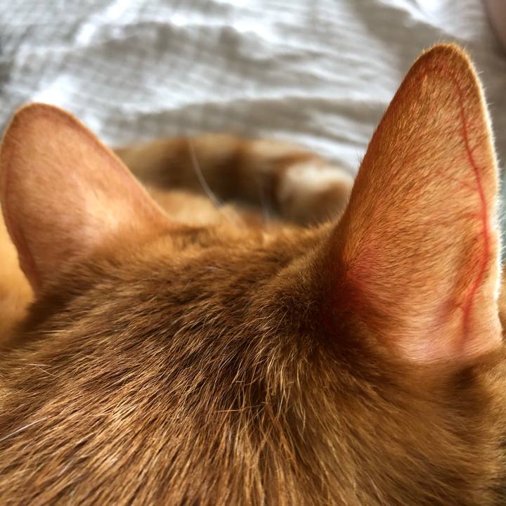 3b062bcf 9bad 4f60 bdf0 37e121ada9e6 1628755567455