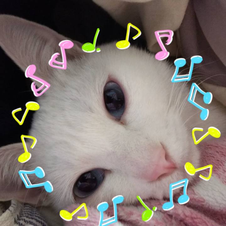 3b067ac3 da02 4f4c 9a3c 5f98b61ce12e 1551182137122