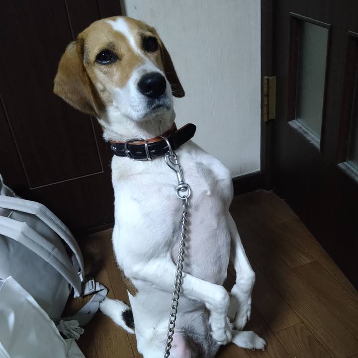 3b0690ae ed7b 462a ae9e 21e6a964f4c6 1628953023593