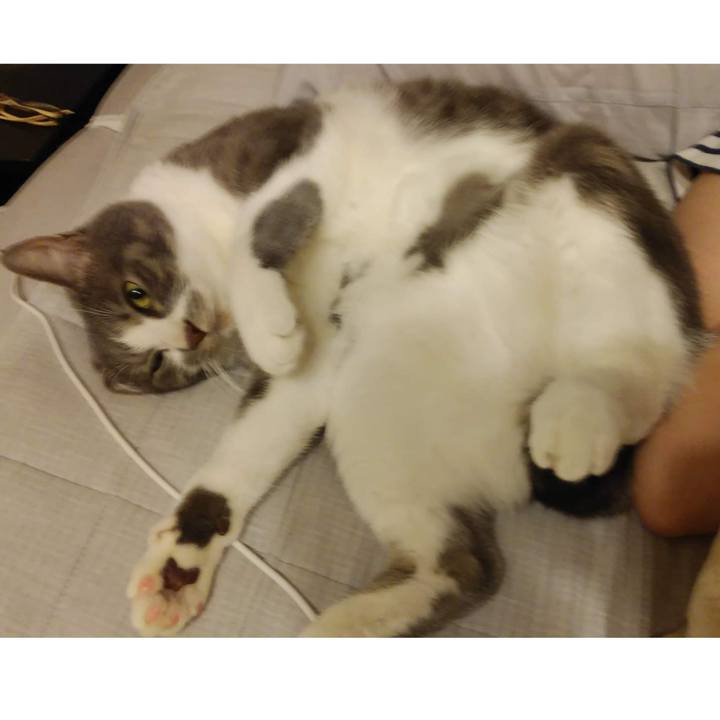 3b069c01 31b6 4d4d 80ae 5fa0496e6d3c 1653450414623