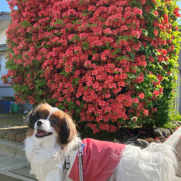 3b06ac09 cbdd 4b8b b624 a9bfc740c90c 1747982844363