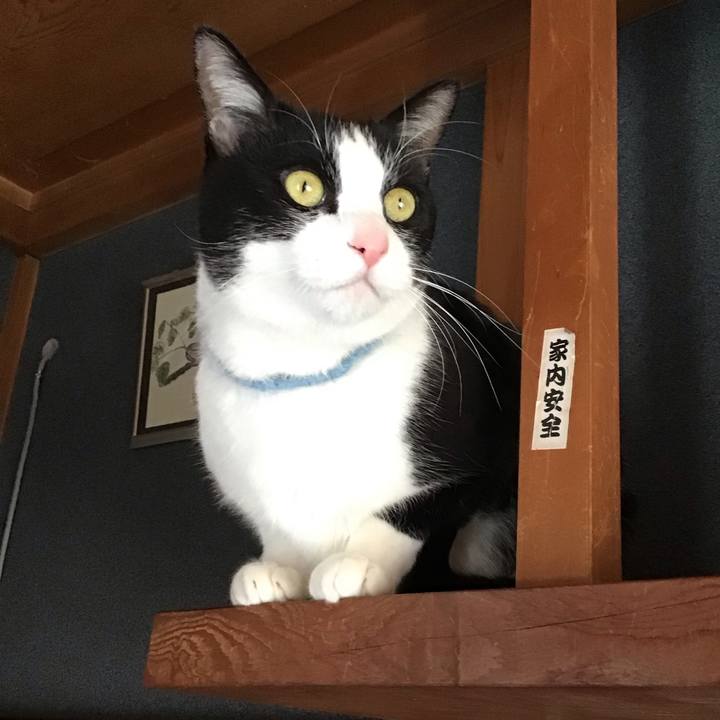 3b06e1f8 d71f 43da aee4 23c8291b8905 1740450807870