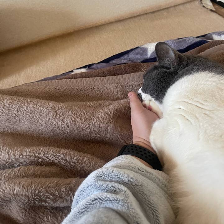 3b070784 0dbc 446a ac0e a3f9eb664477 1737874706270