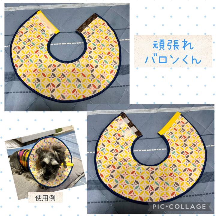 3b070874 4b18 4a82 96e9 2e8bf64825fd 1701482756209