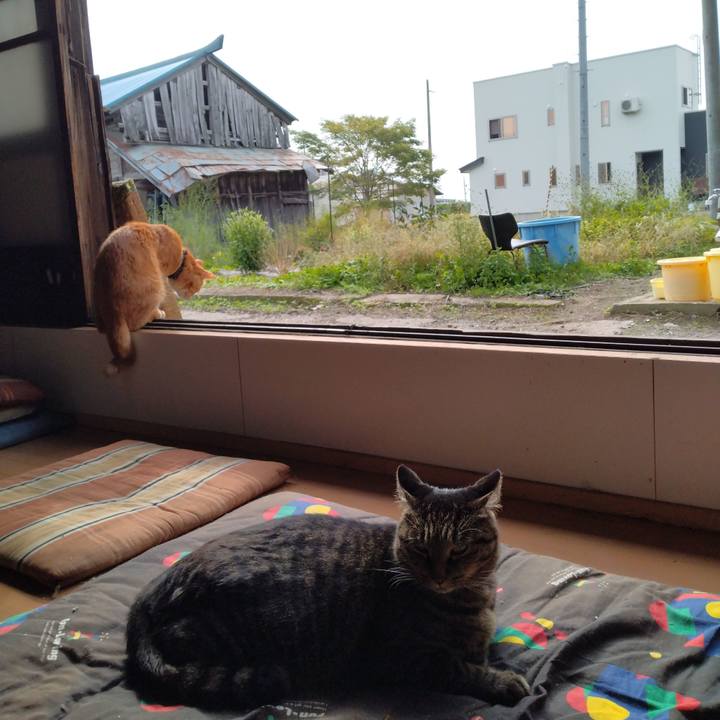 3b0751e2 a319 4f95 9941 dba43000c2a9 1664756227295