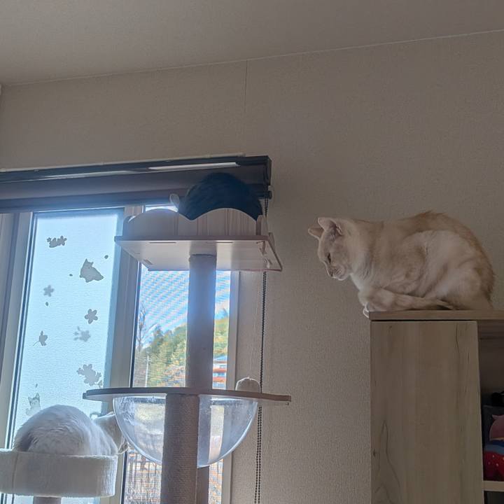 3b076284 f846 445d a170 d523541368bc 1769667297840