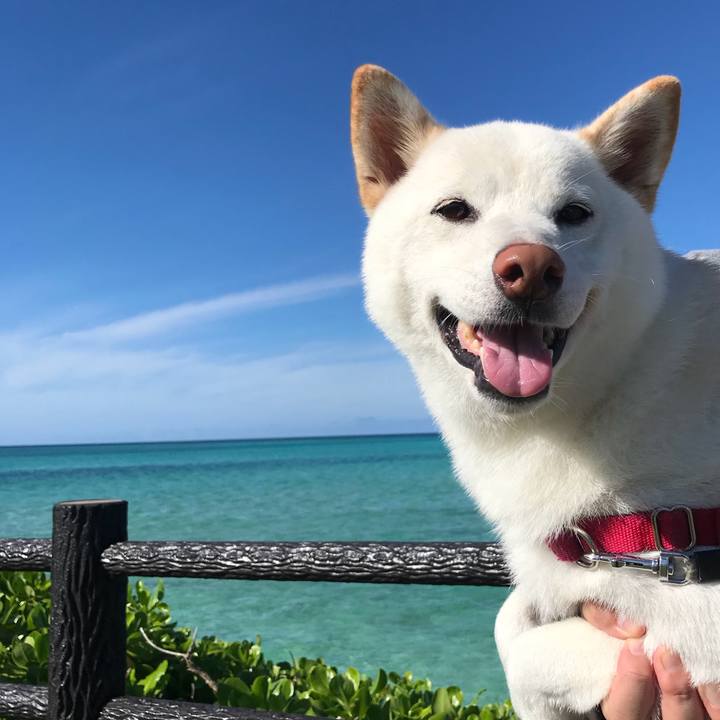 3b0777b1 7bd2 4975 b0bf 91fa0be2d879 1537170786871