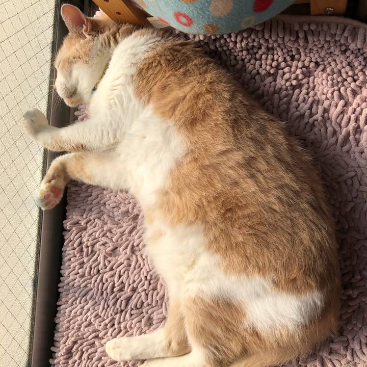 3b077b8f 61a2 4c32 8c88 e1b1495bb4fd 1597878827602