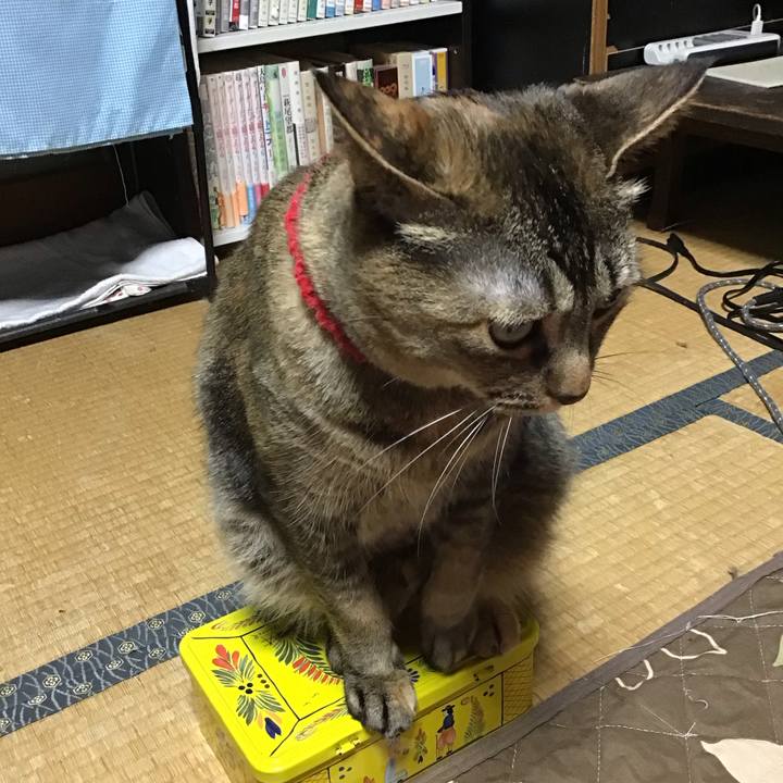 3b07c721 5137 4b42 8970 bfbf255e9c49 1684929397866