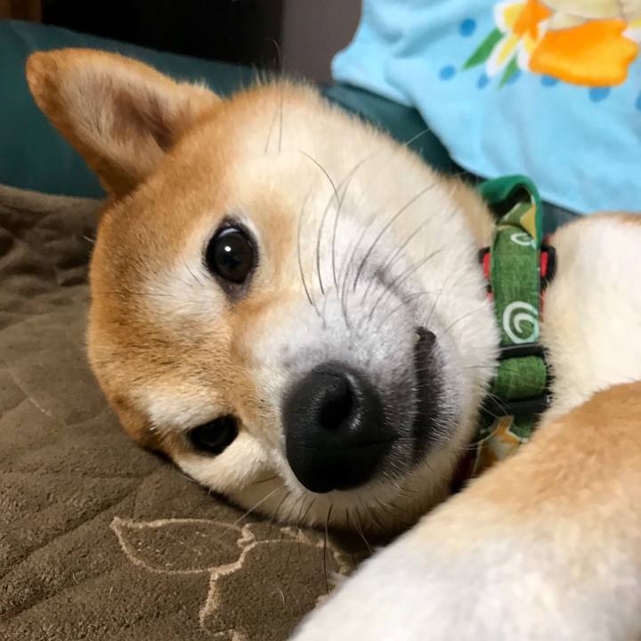 3b07ebc6 5380 4fbd aed4 567246124197 1508056779767