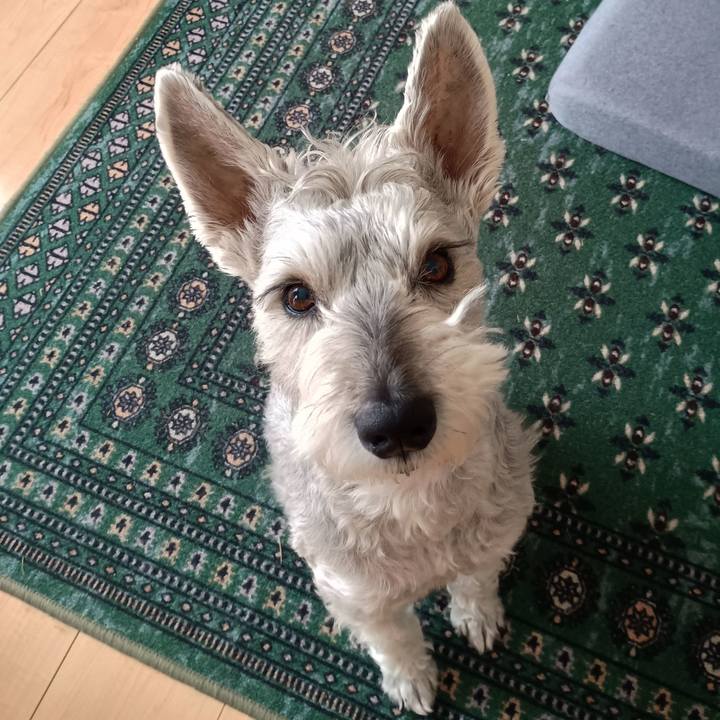 3b07ee4e dfef 45c4 8c73 c2a9f3d773ae 1772110204866