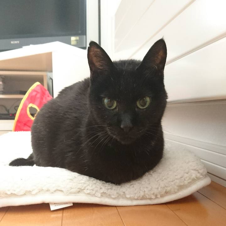 3b081ad2 b61e 437e 9ff5 dc388cd62873 1545865828609