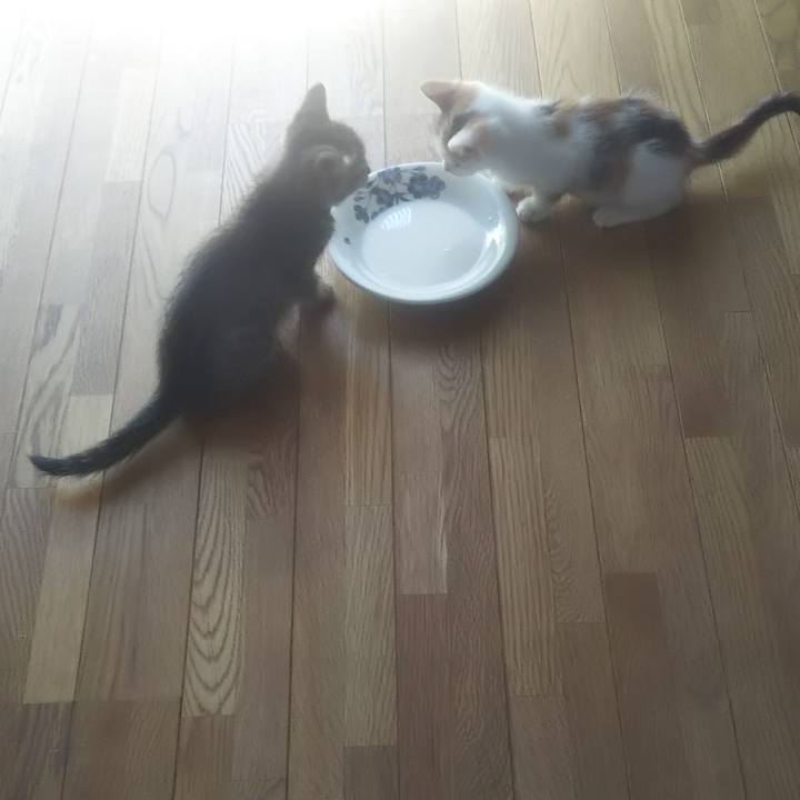 3b082420 50d1 4362 9240 19b4da507f84 1633489769225