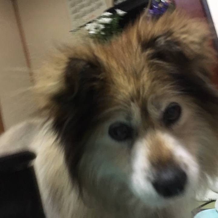 3b08639f c2ec 487a 996e 7226dc126b8b 1558368609911