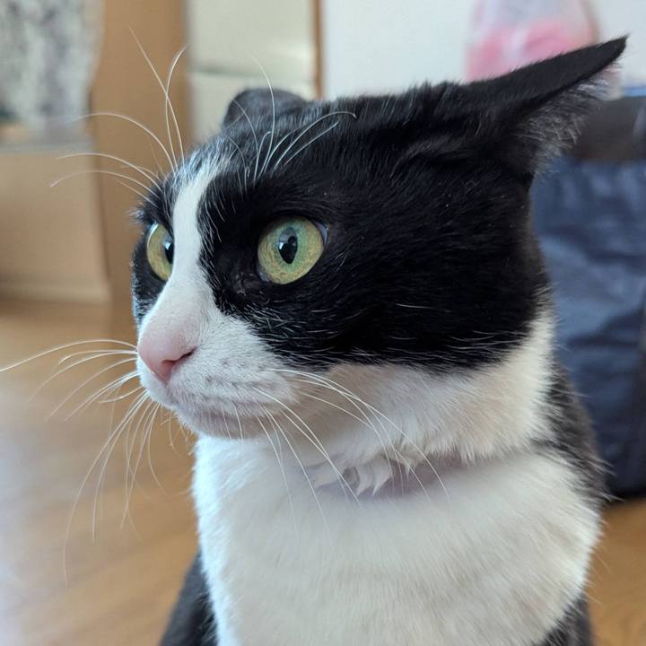 3b0887da fb37 44fa 9ed6 03ffd1615d8c 1741690149919