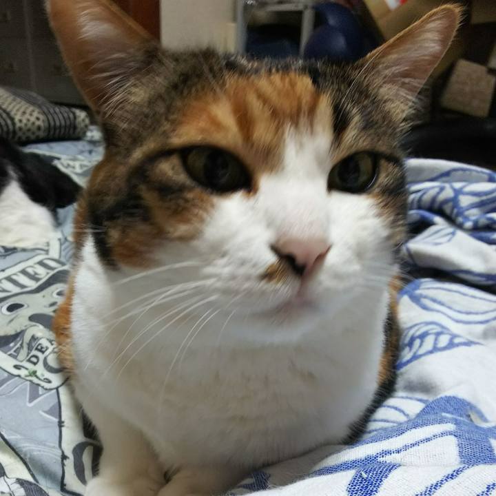 3b0888be bdd2 4fc3 a5a8 70d5ff9d3257 1528755601202