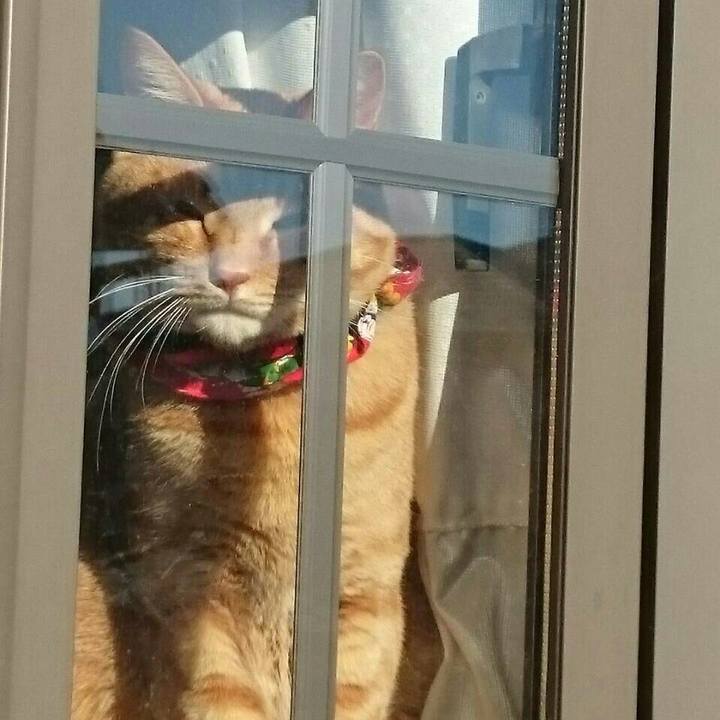 3b088ba1 6cf1 412f 88b6 772f7904d48a 1515199134037