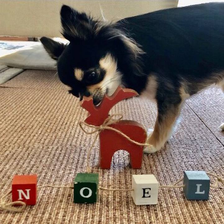 3b08a4b2 0c52 4133 8bf9 9b2d25432f5e 1576837375738