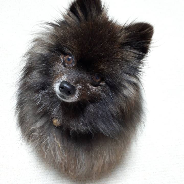 3b08abb3 a190 4b7f 84d6 ba8de9776c67 1519243184048