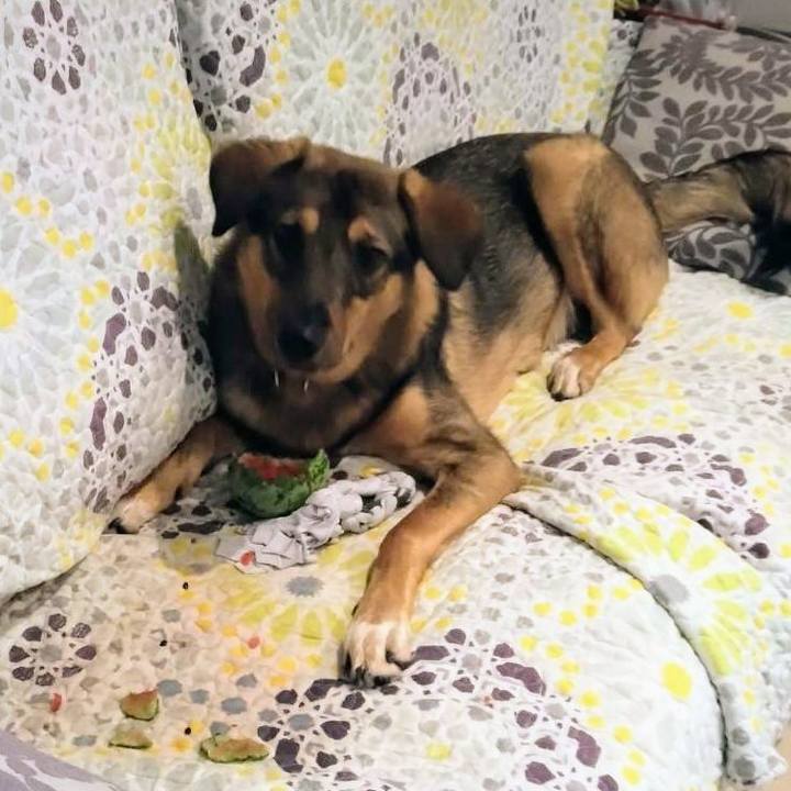 3b08b652 0ea7 4848 8288 f763ebe17502 1693321144884