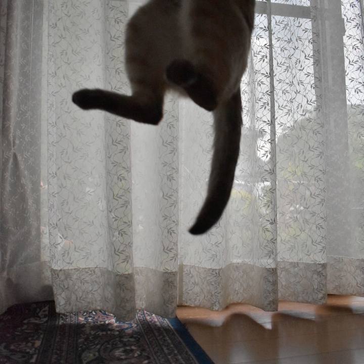 3b08e698 ed9d 4b35 b533 ec915ef940fe 1525340005460