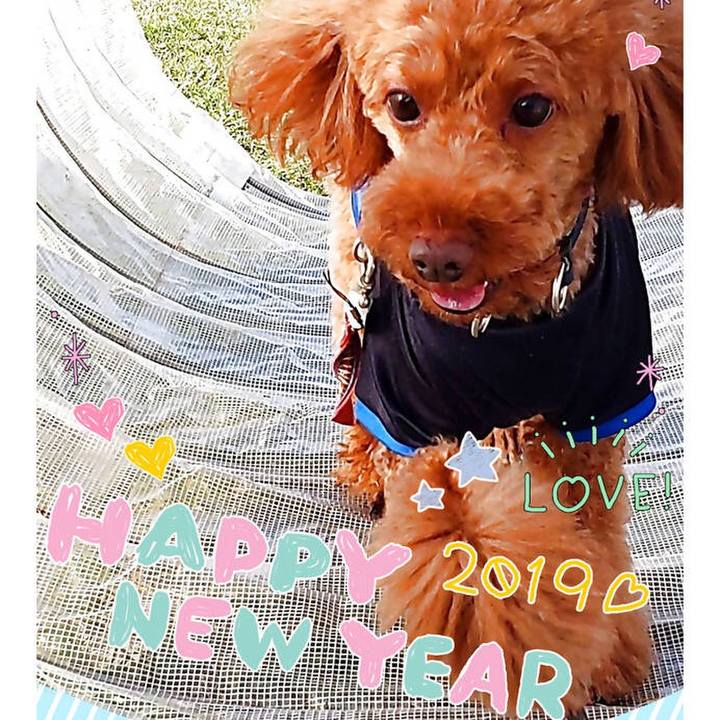 3b091dc9 c55c 4983 99c0 5057eb9af419 1546321927803